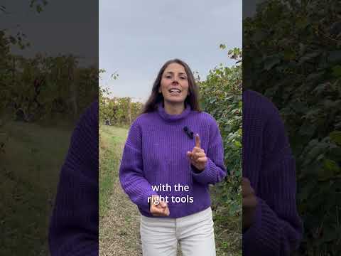 🍇 Take a walk through the vineyard with our Marketing Specialist Greta! [Video]