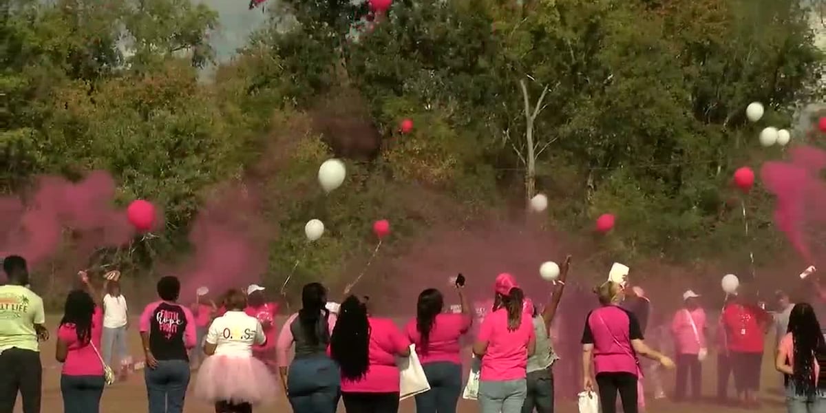 ‘Sprinkle Me Pink’ breast cancer walk [Video]