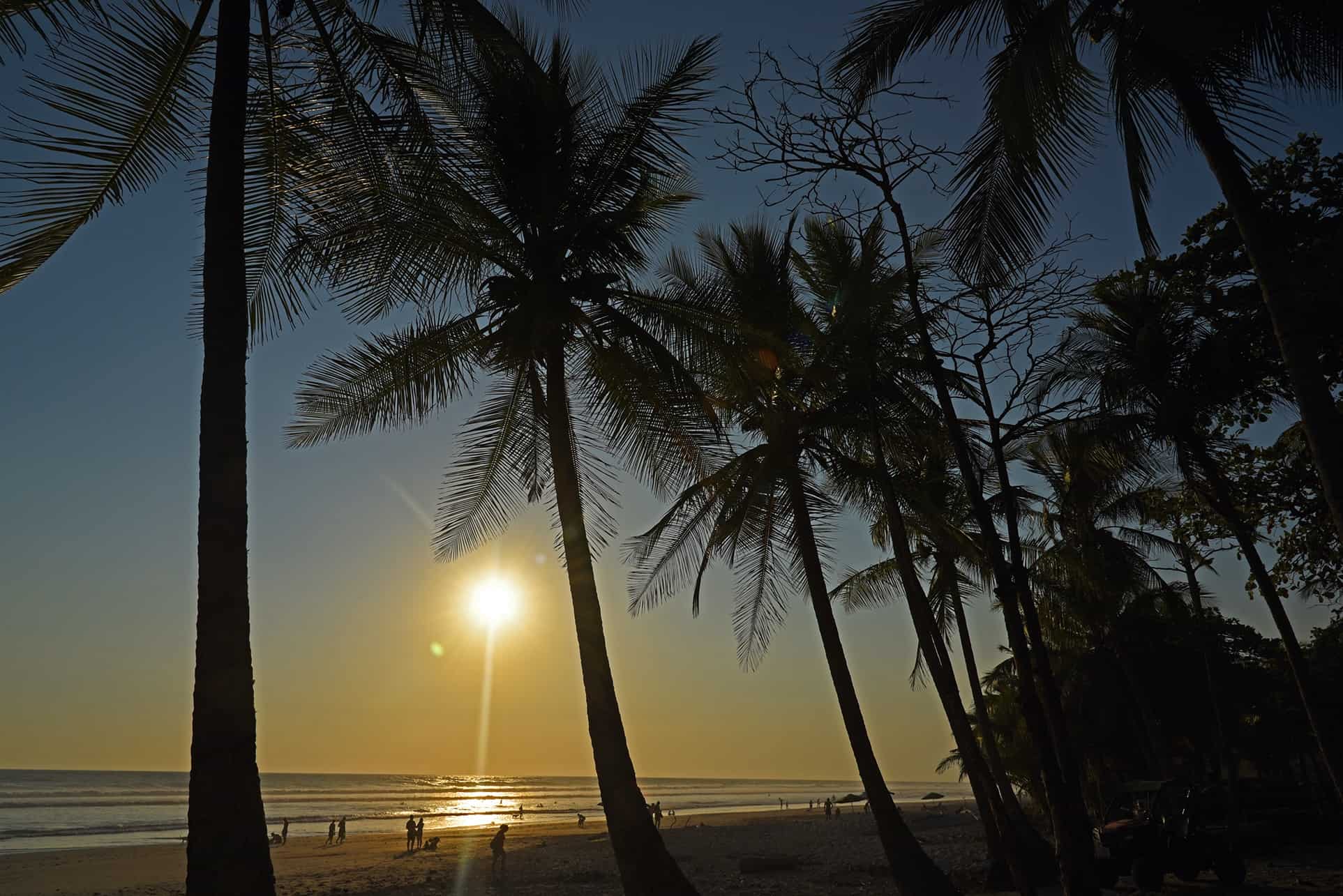 The Tico Times visits Santa Teresa : [Video]