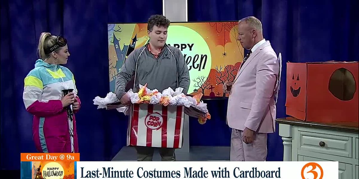 Cardboard Costumes [Video]