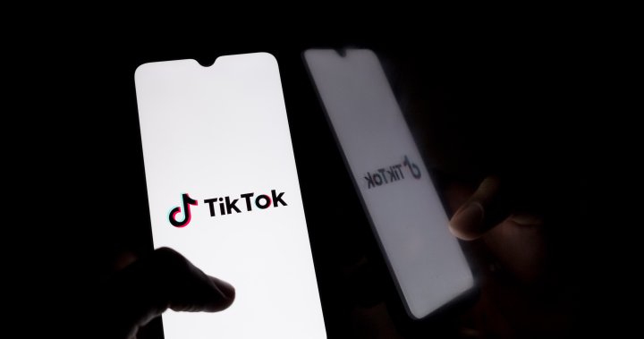 TikTok must end business in Canada but app will stay available, Ottawa says – National [Video]