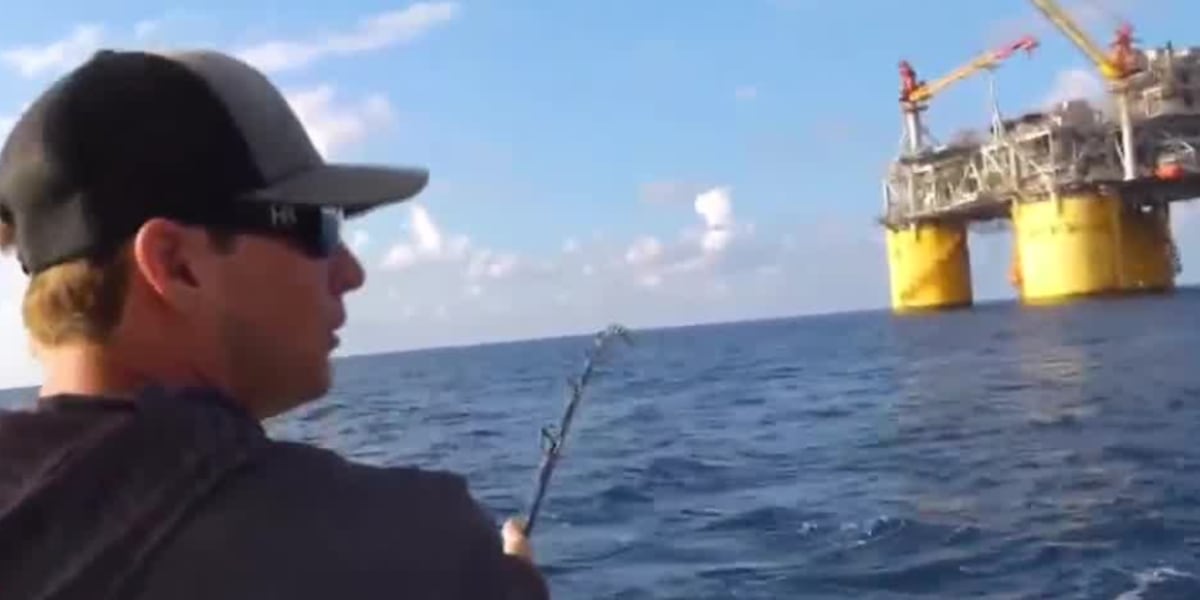 Anglers catch blue marlin while on 22-foot boat [Video]