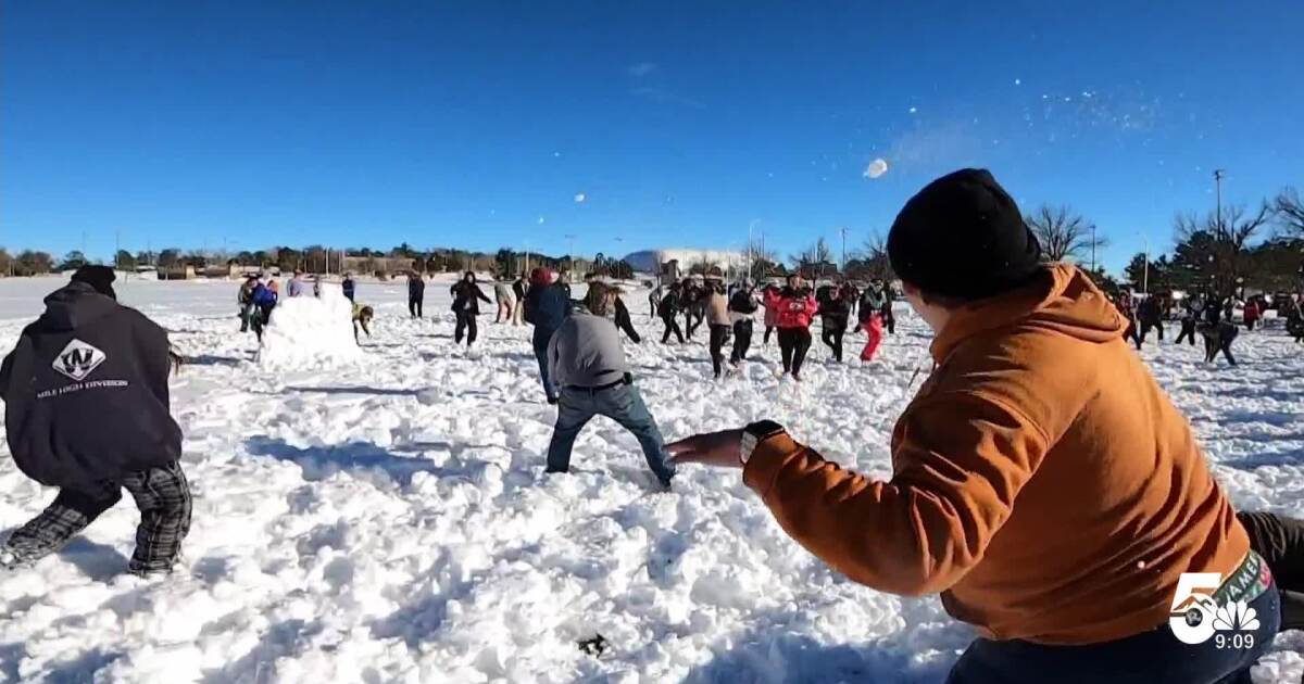 Memorial Park Snowball Fight a huge success for the local community [Video]