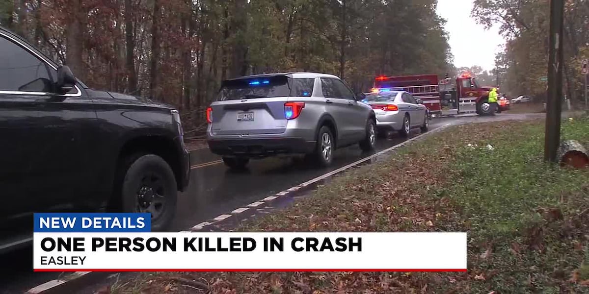 1 dead after Easely crash [Video]