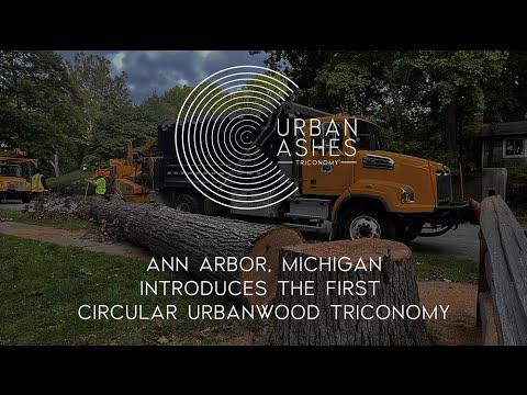 The City of Ann Arbor, Michigan and Urban Ashes launch the first Circular UrbanWood Triconomy, a Municipal Wood Recycling Model [Video]