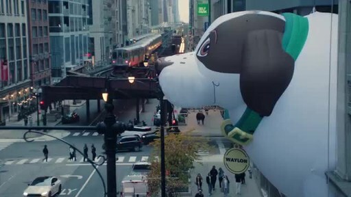 IAMS Brand Gets Oversized Dog Balloon Stuck – On Purpose [Video]