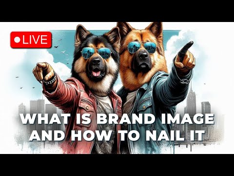 What is Brand Image and How to Nail It | The Underdog Journey [Video]