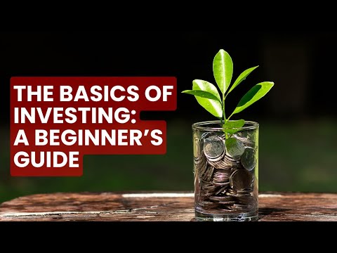 The Basics of Investing A Beginner’s Guide [Video]