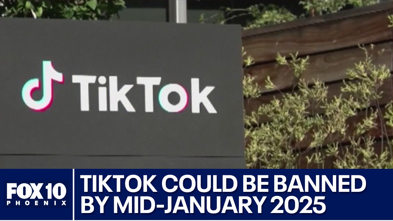 Federal court upholds TikTok ‘sale or ban’ law [Video]