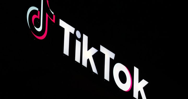 TikTok seeks judicial review of Ottawas shutdown order – National [Video]