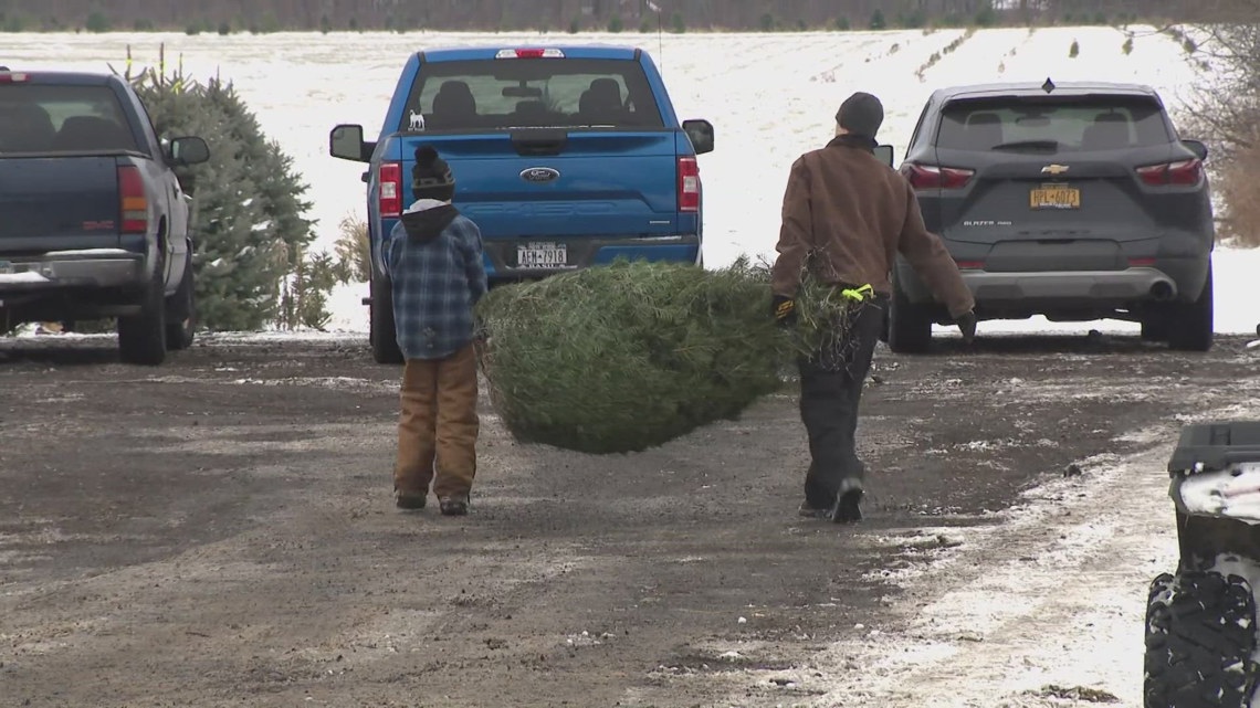 Where to find a Christmas tree in Buffalo [Video]