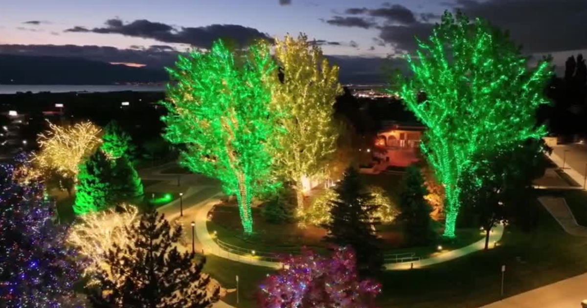 Lighting Utah one Christmas bulb at a time is a full-time job [Video]