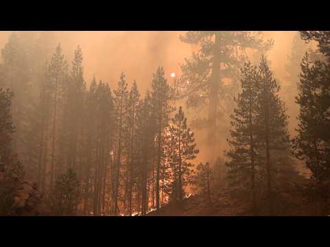 Wildfires Are Deadlier Than Ever – What Can FEMA do? [Video]