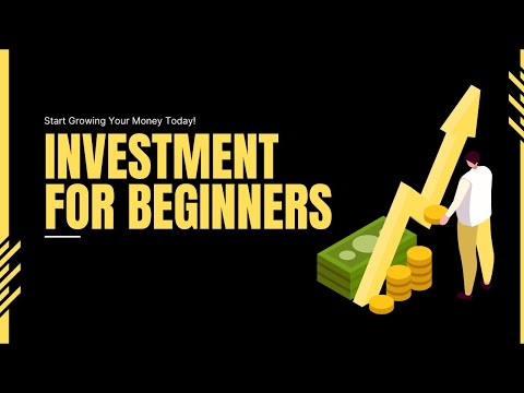 Investing Basics For Beginner Investors [Video]