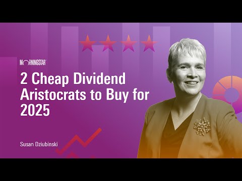 2 Cheap Dividend Aristocrats to Buy for 2025 [Video]