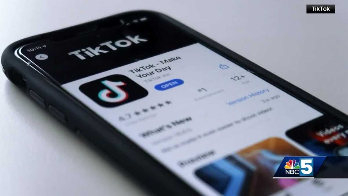 TikTok ban looms; creators, legal experts weigh in ahead of Supreme Court hearing [Video]