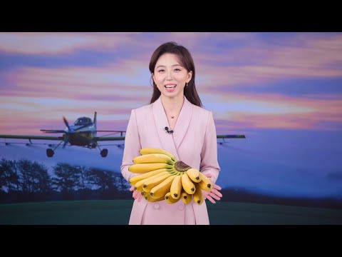 See how the low-altitude economy matches with agriculture [Video]