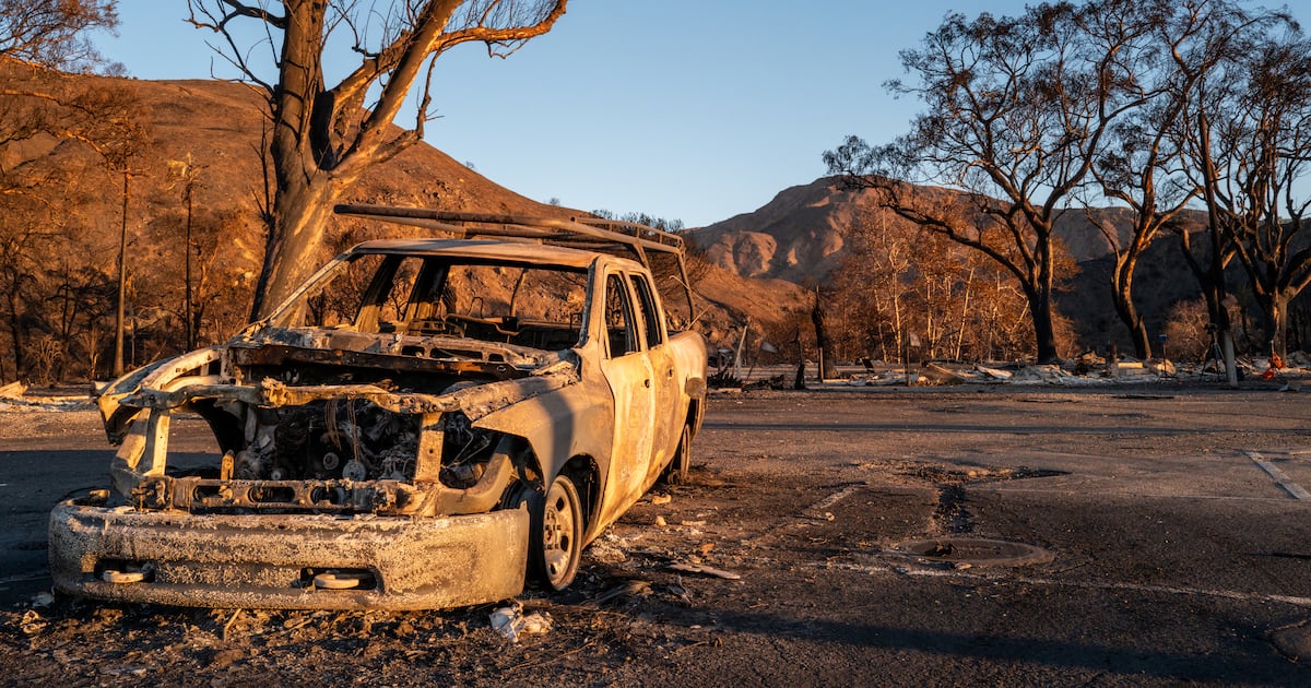 What sparked the L.A. fires is different from the underlying causes  Boston 25 News [Video]