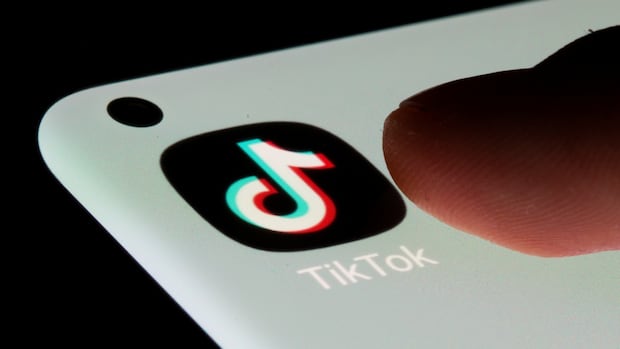 What TikTok could look like for users in the U.S.  and around the world  if it goes dark [Video]