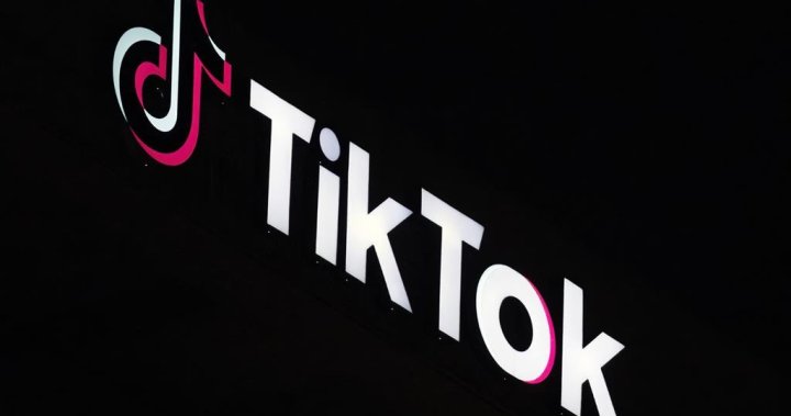 TikTok ban upheld by U.S. Supreme Court. Heres what could happen next – National [Video]