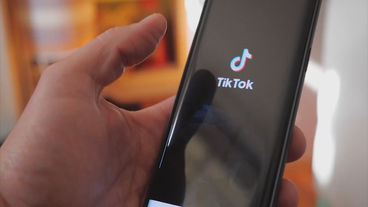 TikTok creators, small businesses plan amid looming app ban  NBC Connecticut [Video]