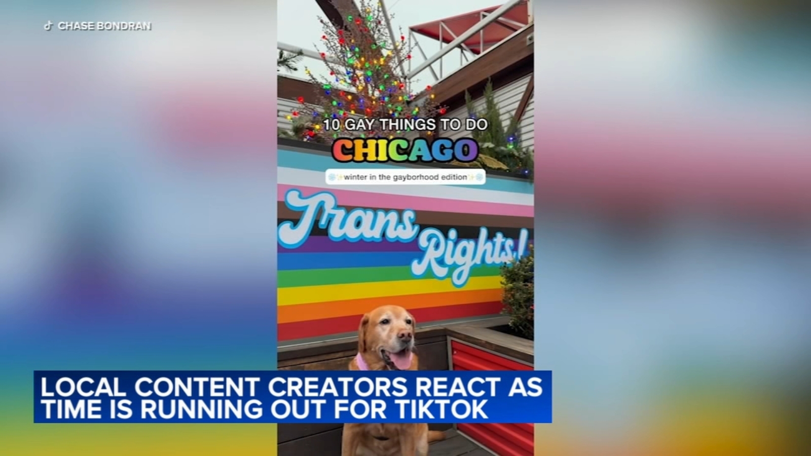 Chicago-area social media content creators, small businesses devastated as TikTok ban looms [Video]