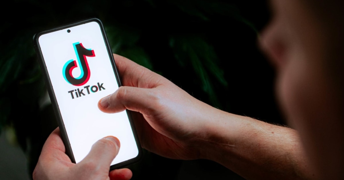 TikTok ban may be start of larger trend in security crackdown against China: Fmr. FBI agent [Video]